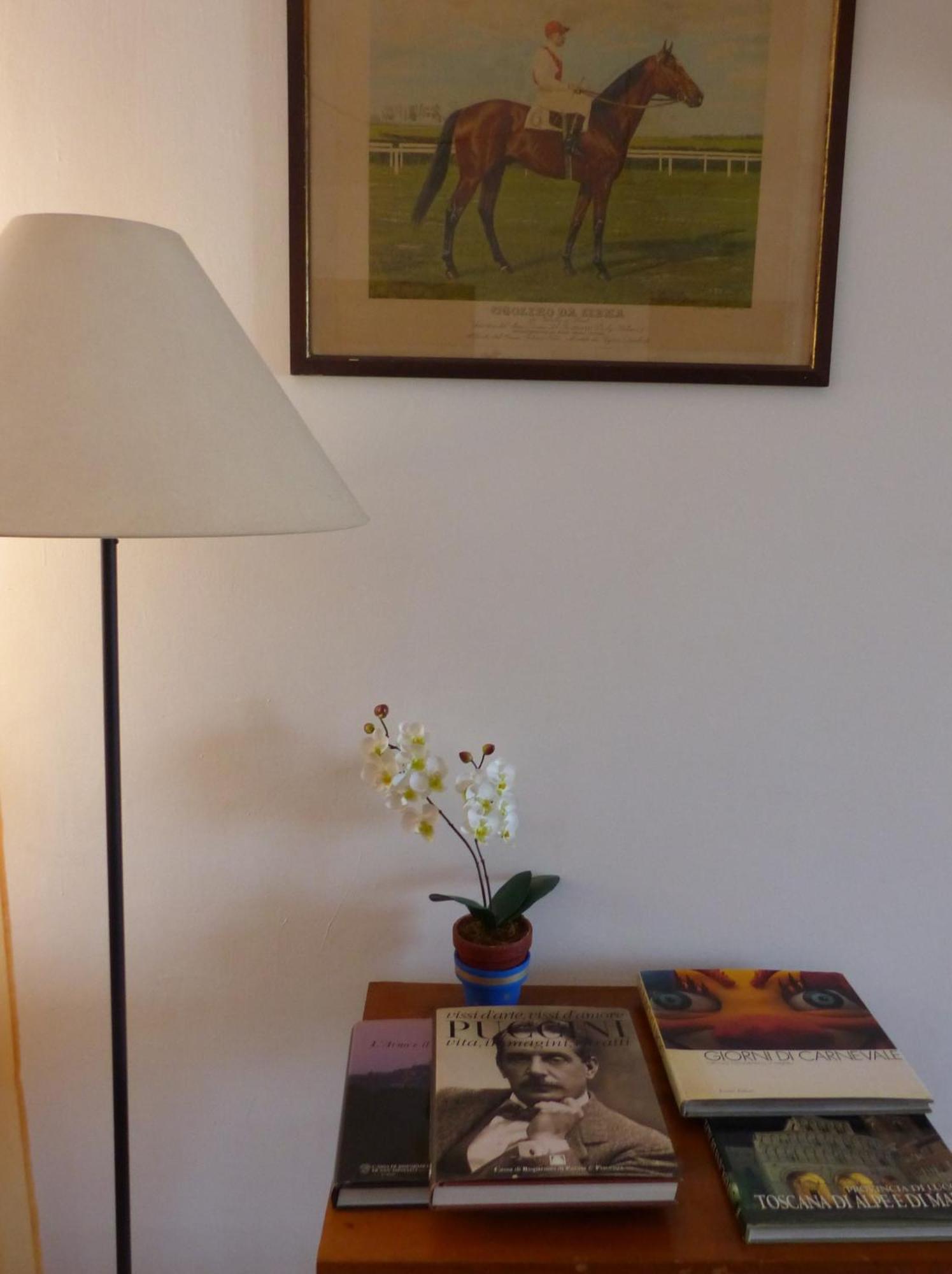Appartamento La Casa Di Silvia Massarosa Esterno foto